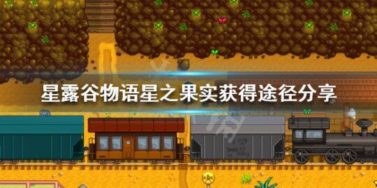 星露谷物语星之果实全收集