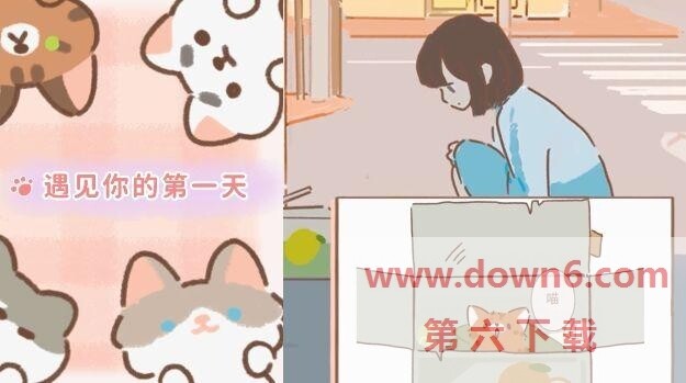 《遇见你的猫》猫咪及玩家改名方法介绍